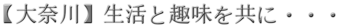 【大奈川】生活と趣味（とDiscordBot）を共に・・・